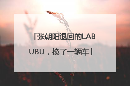张朝阳退回的LABUBU，换了一辆车