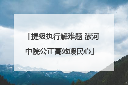 提级执行解难题 漯河中院公正高效暖民心