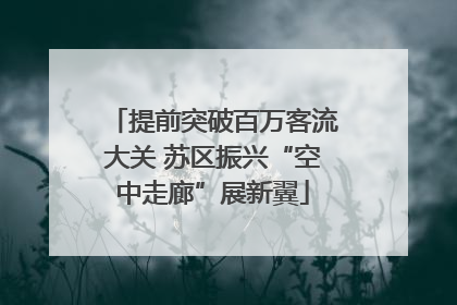 提前突破百万客流大关 苏区振兴“空中走廊”展新翼