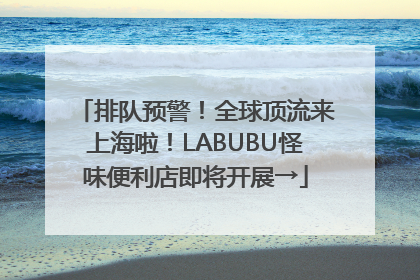 排队预警！全球顶流来上海啦！LABUBU怪味便利店即将开展→