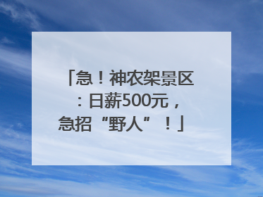 急！神农架景区：日薪500元，急招“野人”！