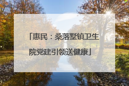 惠民：桑落墅镇卫生院党建引领送健康