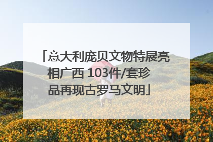 意大利庞贝文物特展亮相广西 103件/套珍品再现古罗马文明