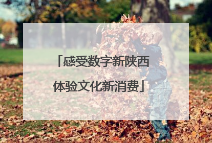 感受数字新陕西 体验文化新消费