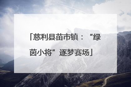 慈利县苗市镇：“绿茵小将”逐梦赛场