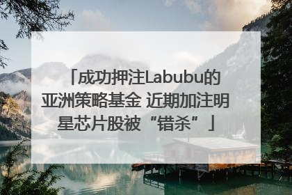 成功押注Labubu的亚洲策略基金 近期加注明星芯片股被“错杀”