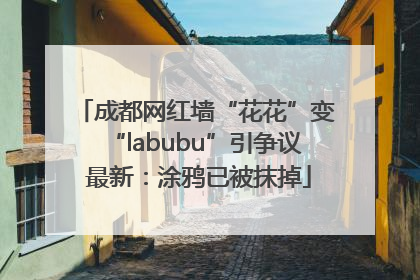 成都网红墙“花花”变“labubu”引争议 最新：涂鸦已被抹掉