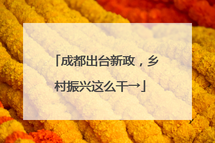 成都出台新政，乡村振兴这么干→