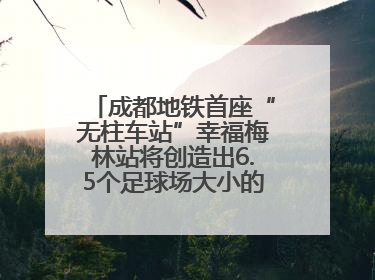成都地铁首座“无柱车站”幸福梅林站将创造出6.5个足球场大小的通透空间