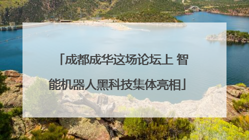 成都成华这场论坛上 智能机器人黑科技集体亮相