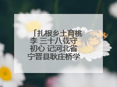 扎根乡土育桃李 三十八载守初心 记河北省宁晋县耿庄桥学区教师张志涛