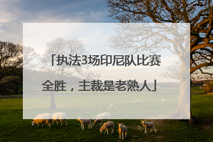 执法3场印尼队比赛全胜，主裁是老熟人