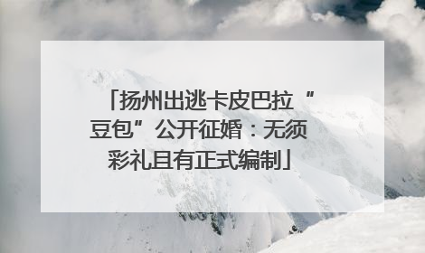 扬州出逃卡皮巴拉“豆包”公开征婚：无须彩礼且有正式编制
