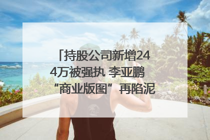 持股公司新增244万被强执 李亚鹏“商业版图”再陷泥潭？｜科技观察