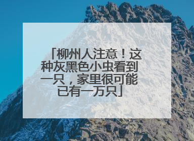 柳州人注意！这种灰黑色小虫看到一只，家里很可能已有一万只
