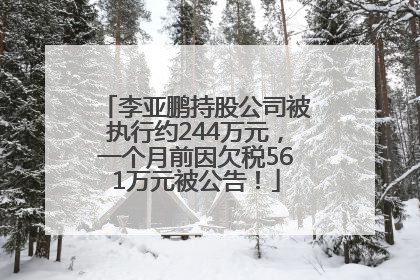 李亚鹏持股公司被执行约244万元，一个月前因欠税561万元被公告！