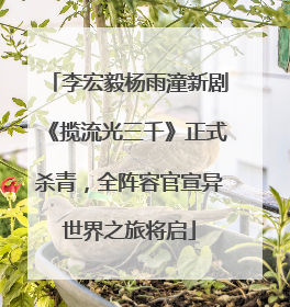 李宏毅杨雨潼新剧《揽流光三千》正式杀青，全阵容官宣异世界之旅将启