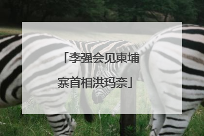 李强会见柬埔寨首相洪玛奈