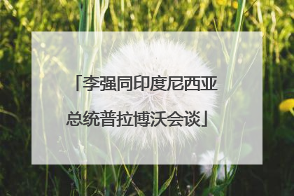 李强同印度尼西亚总统普拉博沃会谈