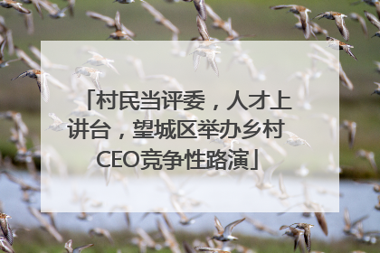 村民当评委，人才上讲台，望城区举办乡村CEO竞争性路演