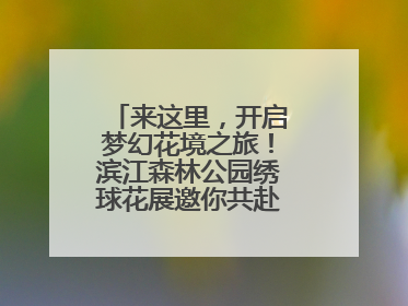 来这里，开启梦幻花境之旅！滨江森林公园绣球花展邀你共赴一场与云朵、花儿的浪漫之约
