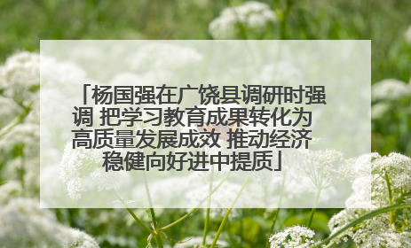 杨国强在广饶县调研时强调 把学习教育成果转化为高质量发展成效 推动经济稳健向好进中提质