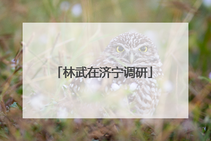 林武在济宁调研