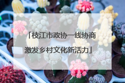 枝江市政协一线协商激发乡村文化新活力