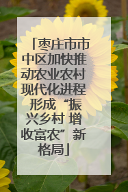 枣庄市市中区加快推动农业农村现代化进程 形成“振兴乡村 增收富农”新格局