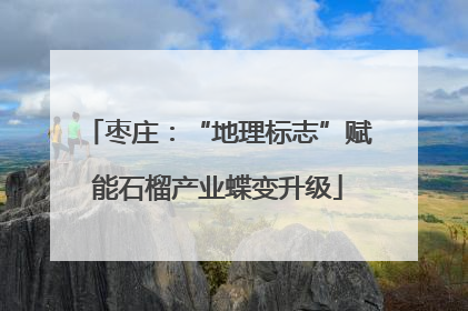 枣庄：“地理标志”赋能石榴产业蝶变升级