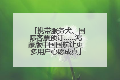 携带服务犬、国际客票预订……鸿蒙版中国国航让更多用户心愿成真