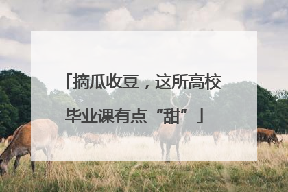 摘瓜收豆，这所高校毕业课有点“甜”
