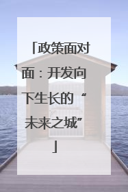 政策面对面：开发向下生长的“未来之城”