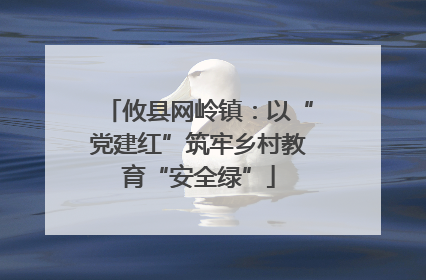 攸县网岭镇：以“党建红”筑牢乡村教育“安全绿”