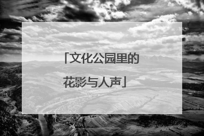 文化公园里的花影与人声