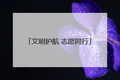 文明护航 志愿同行