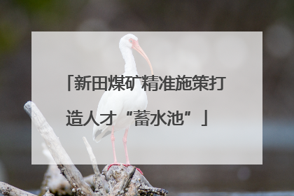 新田煤矿精准施策打造人才“蓄水池”