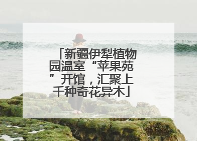 新疆伊犁植物园温室“苹果苑”开馆，汇聚上千种奇花异木
