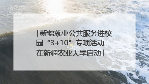 新疆就业公共服务进校园“3+10”专项活动在新疆农业大学启动
