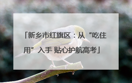 新乡市红旗区：从“吃住用”入手 贴心护航高考