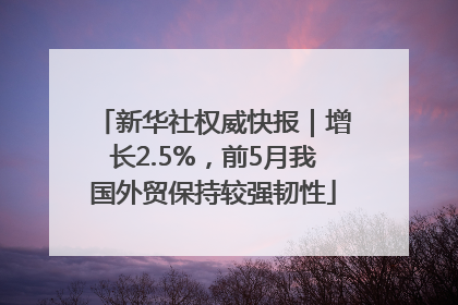新华社权威快报｜增长2.5%，前5月我国外贸保持较强韧性