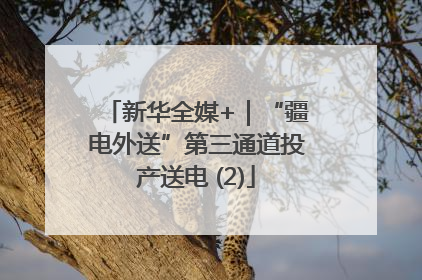 新华全媒+｜“疆电外送”第三通道投产送电 (2)