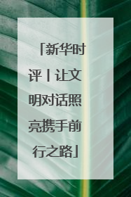 新华时评丨让文明对话照亮携手前行之路