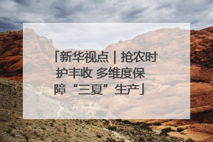 新华视点｜抢农时 护丰收 多维度保障“三夏”生产