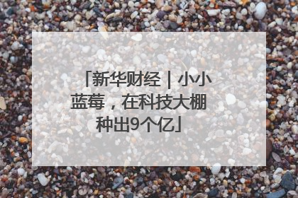 新华财经｜小小蓝莓，在科技大棚种出9个亿
