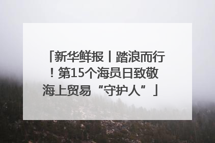 新华鲜报丨踏浪而行！第15个海员日致敬海上贸易“守护人”