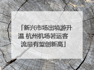 新兴市场出境游升温 杭州机场暑运客流量有望创新高