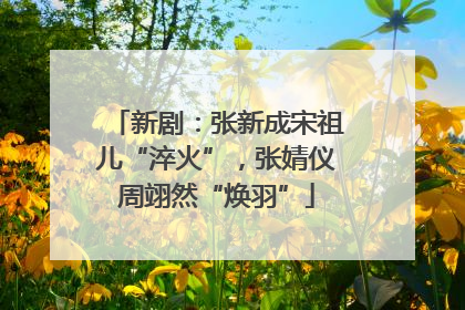 新剧：张新成宋祖儿“淬火”，张婧仪周翊然“焕羽”