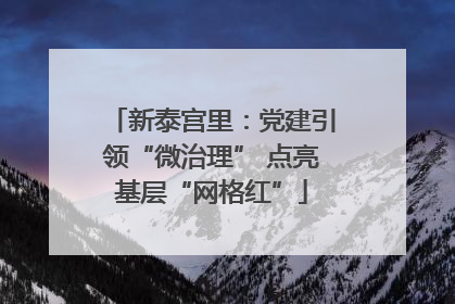 新泰宫里：党建引领“微治理” 点亮基层“网格红”