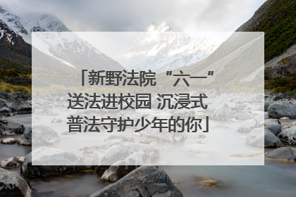 新野法院“六一”送法进校园 沉浸式普法守护少年的你